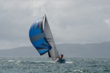 circe 2464y whyw23 sun 800 3283